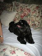 Savannah Vacation 005